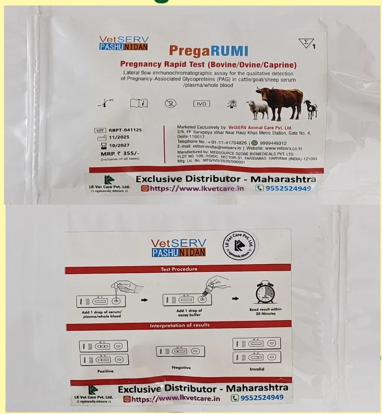 Pregnancy Kit