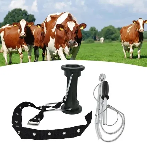 Cow Rumen Metal Extractor